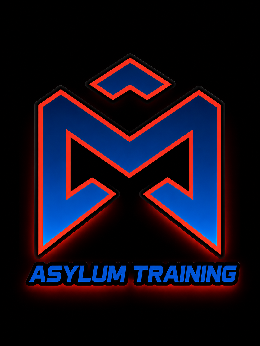 Asylum Training